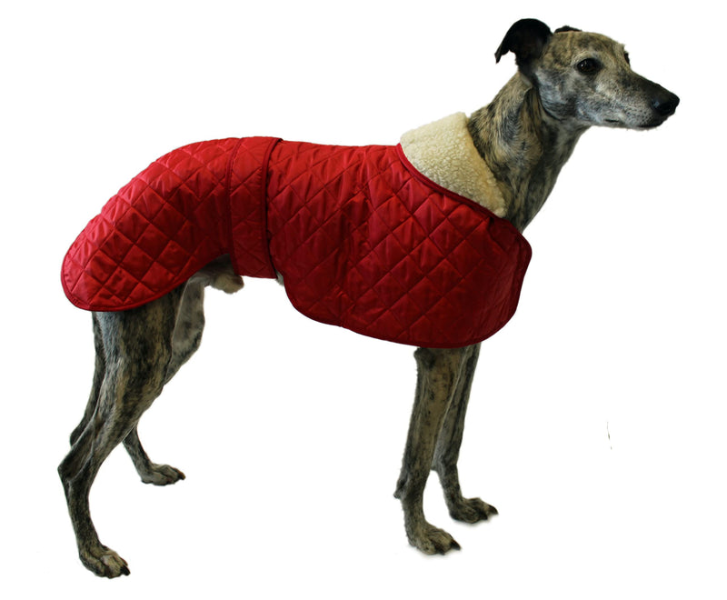 Cosipet Greyhound Anorak Nylon Coat, 56 cm, Red - PawsPlanet Australia