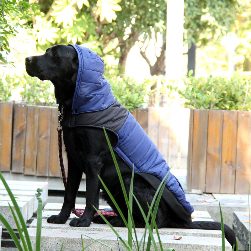 Fragralley Dog Coats with Warm Detachable Hat, Pet Clothes Jacket Winter Hoodie Anxiety Vest, Soft and Waterproof M - Back Length: 16" Blue - PawsPlanet Australia