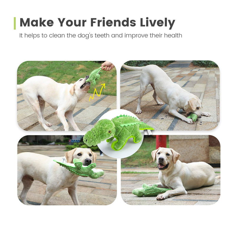 Iokheira Dog Plush Toy, Soft Interactive Squeak Dog Toy Durable Chew Toys for Puppy Small Medium Large Dogs. - PawsPlanet Australia