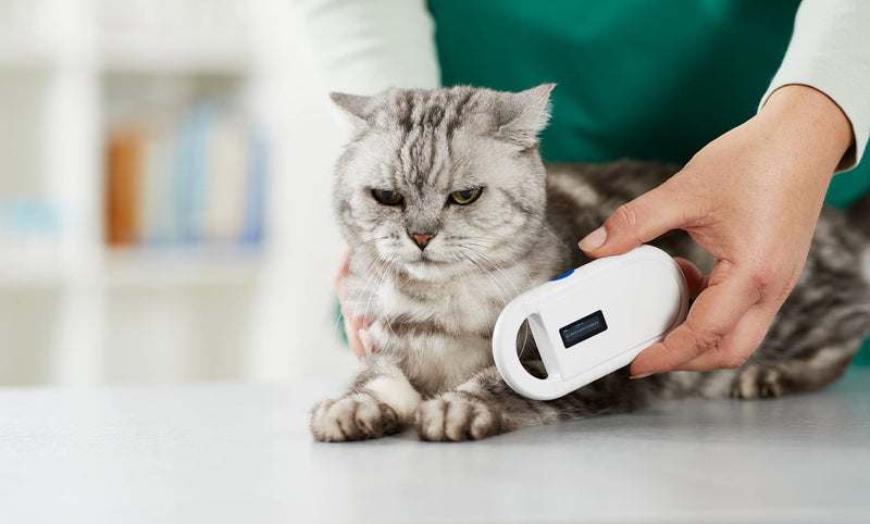OUTPAW animal chip reader chip reader for animals RFID chip microchip animals ISO transponder for animal identification - PawsPlanet Australia