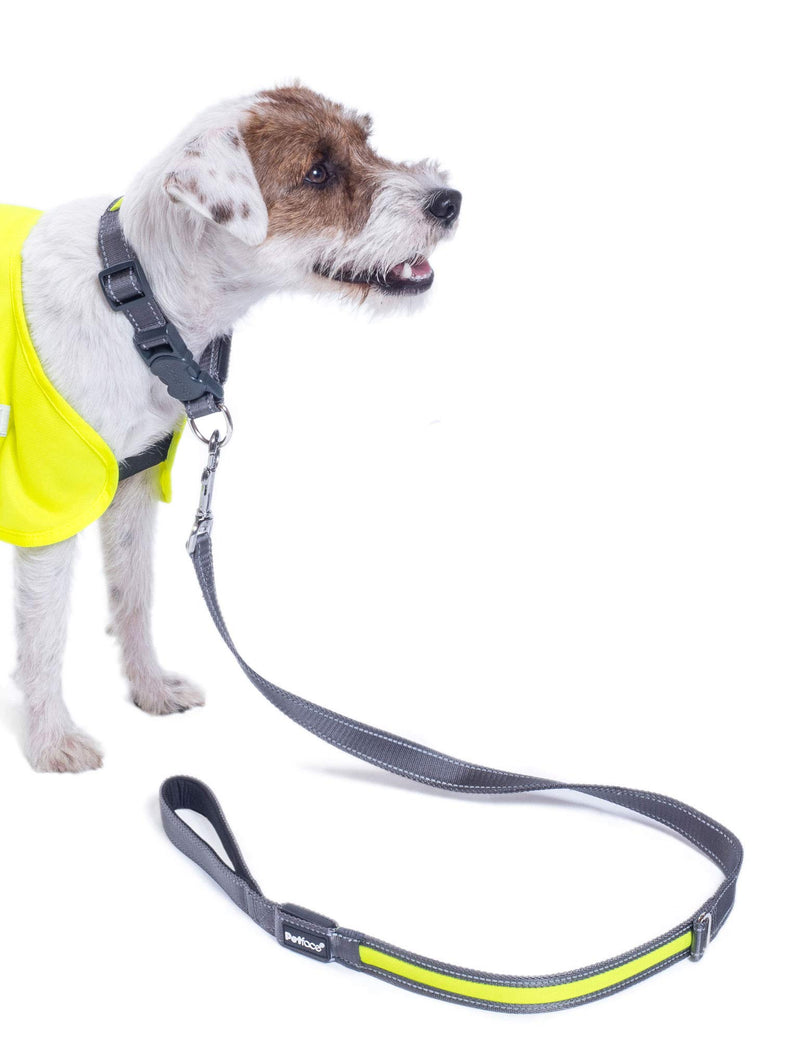 Petface Outdoor Paws Flashing Yellow Reflective Collar, Medium - PawsPlanet Australia