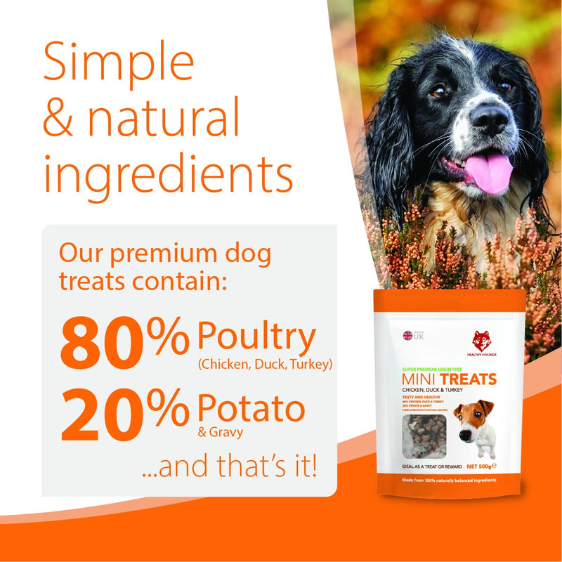 Healthy Hounds Natural Poultry Dog Training Treats - 500g - Grain Free Hypoallergenic Puppy Treat for Skin, Coat & Joint Support - Chicken Duck & Turkey 500 g (Pack of 1) - PawsPlanet Australia