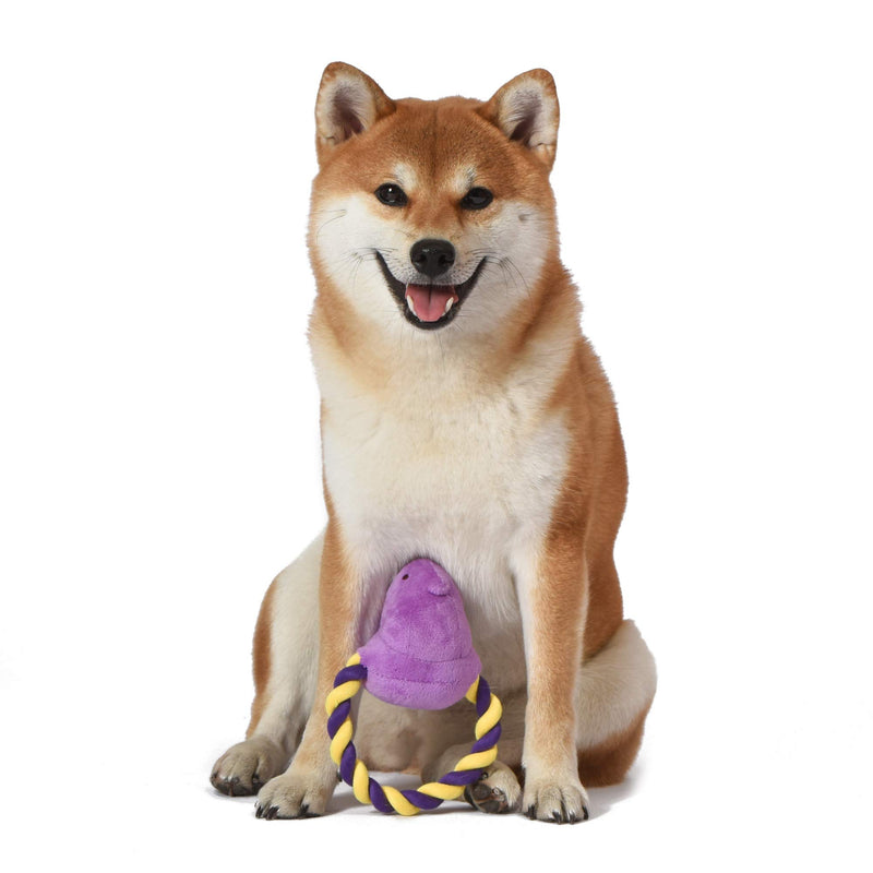 Toy for Dogs Purple - PawsPlanet Australia