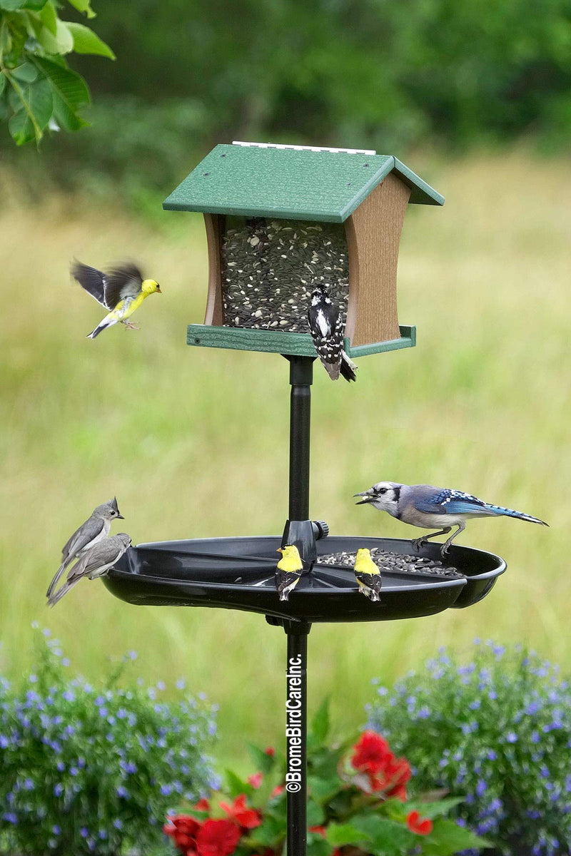 Brome Buster Tray Feeder and Seed Catcher, 11 x 4 x 21 inches, black - PawsPlanet Australia