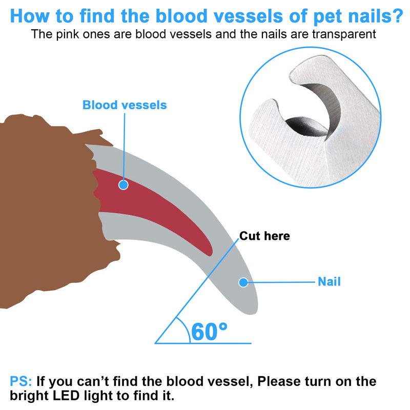 [Australia] - yzhtbrush Dog Nail Clippers, Trimmer with Safety Guard to Avoid Over Cutting, Professional Dog Nail Grinder for Pet Blue 