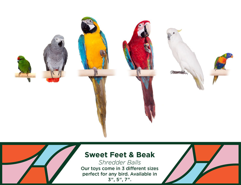Sweet Feet and Beak Super Shredder Ball - Bird Cage Accessories to Keep Your Bird Busy Foraging for Hidden Treasures - Non-Toxic, Easy to Install Bird Foraging Toys, Bird Treats, Parrot Toys 3 inch - PawsPlanet Australia