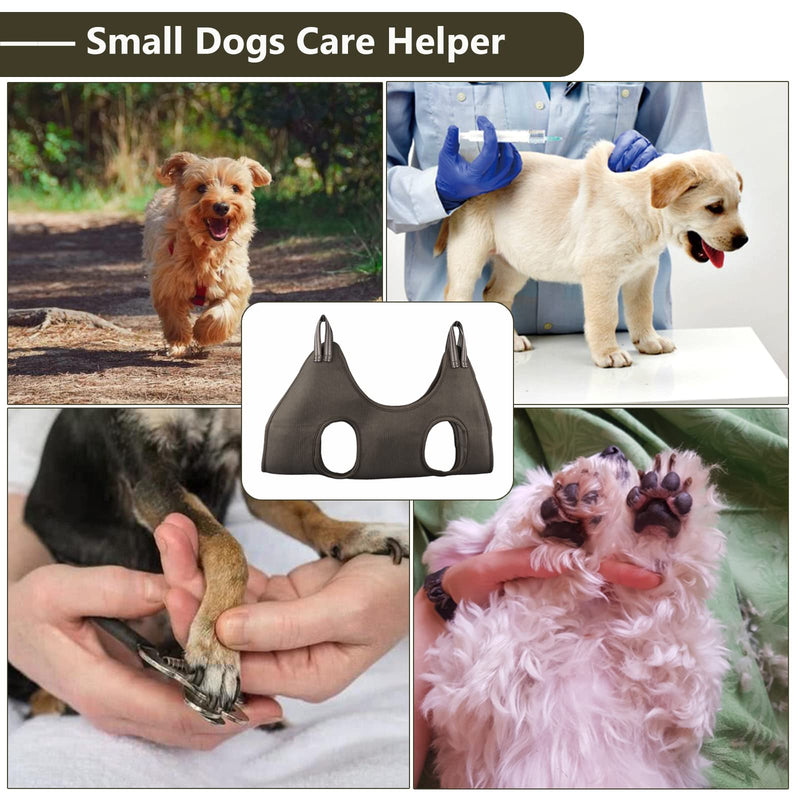 DaizySight Dog Grooming Hammock Set for Small Dogs Claw Hairdresser - Size S, Hanging Harness for Nail Trimming, Claw Trimmer, Pet Grooming - PawsPlanet Australia