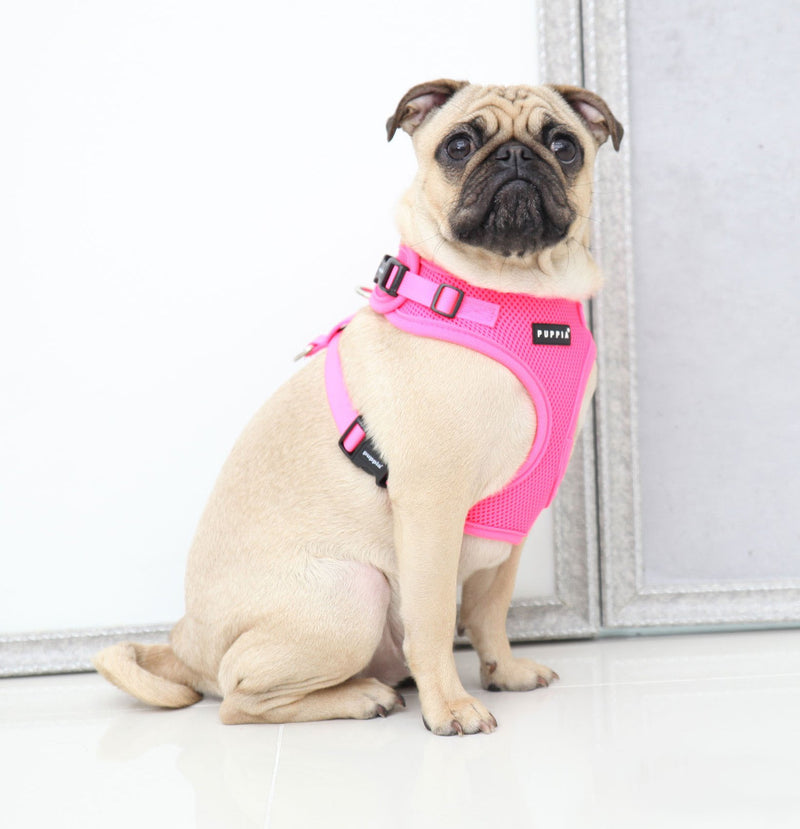 Puppia Neon Soft Harness II, Small, Pink S - PawsPlanet Australia