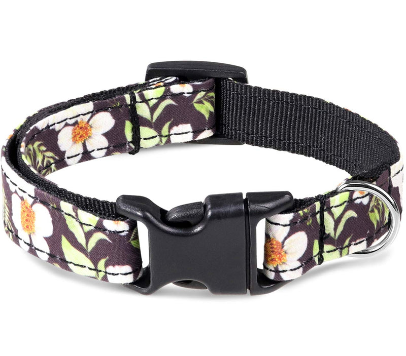 Taglory Unique Designer Soft Dog Collar, Western Collars for Puppy Small Medium Large Dogs XS(5/8"x 8-12") Black Flower - PawsPlanet Australia