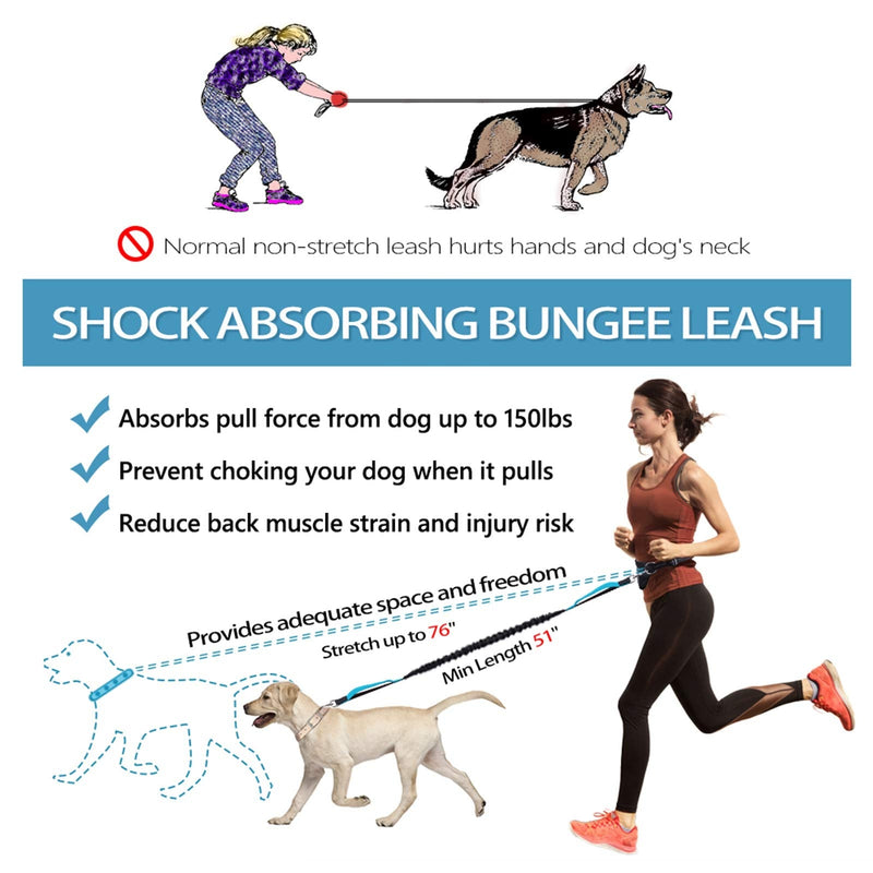 Pet Room jogging leash dogs for running, jogging, hiking. Dog jogging leash with waist belt. Jogging dog leash for large and medium dogs. Elastic and reflective running leash black/blue (waist belt with integrated pack) - PawsPlanet Australia