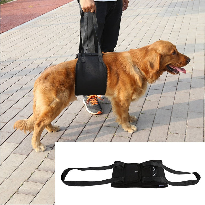 Dog Lift Harness Adjustable Dog Support Sling Aid Mobility and Rehabilitation Harness for Senior Injured Disabled Joint Injuries Dogs Walk (L) L - PawsPlanet Australia