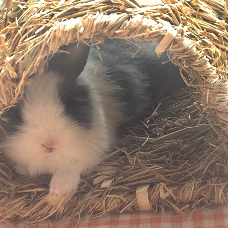 Hamiledyi Rabbit Grass Tunnel,Natural Straw Woven Mat Winter Warm Hideaway Hut for Bunny Gerbil Ferrets Guinea Pig Chinchilla - PawsPlanet Australia