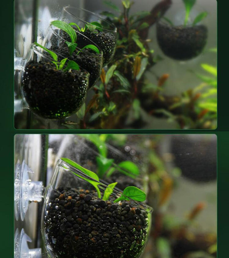 Plant Pot Aquarium Decor Aquatic Plant Cup with 2 Suction Cup for Fish Tank Aquarium Aquascape(2 Pack) - PawsPlanet Australia