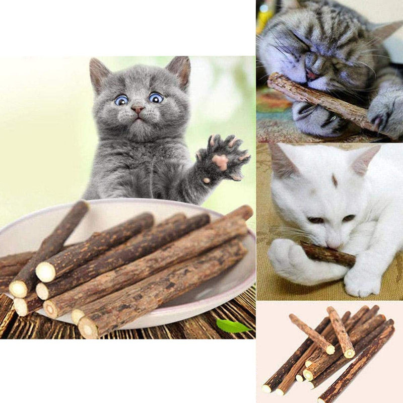 ECOSCO Cat Chew Catnip Toys Plant Healthy Snacks Natural Silvervine Sticks,Kittens Teeth Cleaning Molar Tools Bite Organic Sticks,Kitty Treat Chew Wood Stick Toys, 50 Pieces (50 Pieces) - PawsPlanet Australia