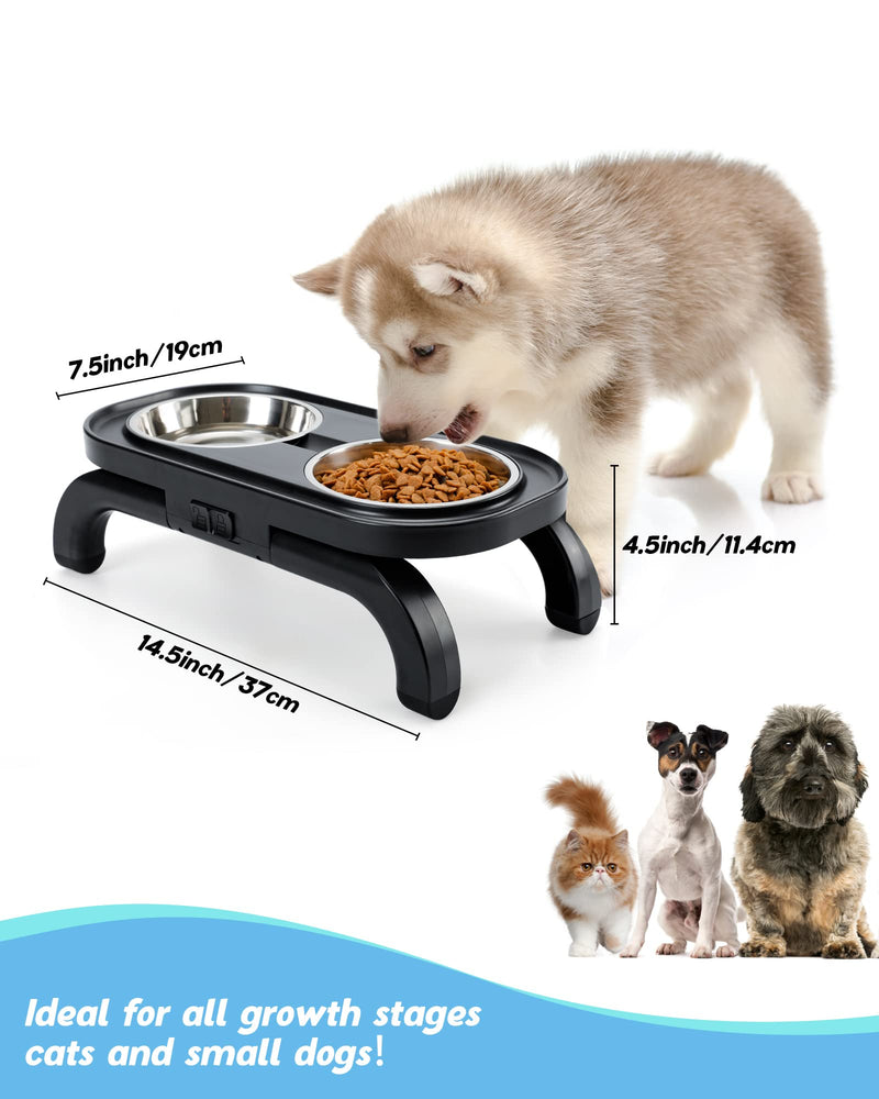 Elevated Cat Bowls with Stand Tilted Adjustable, Raised Pet Bowl for Cats and Small Dog 2 Stainless Steel 15°Tilted Cat Feeding Bowls (2x380ml) - PawsPlanet Australia