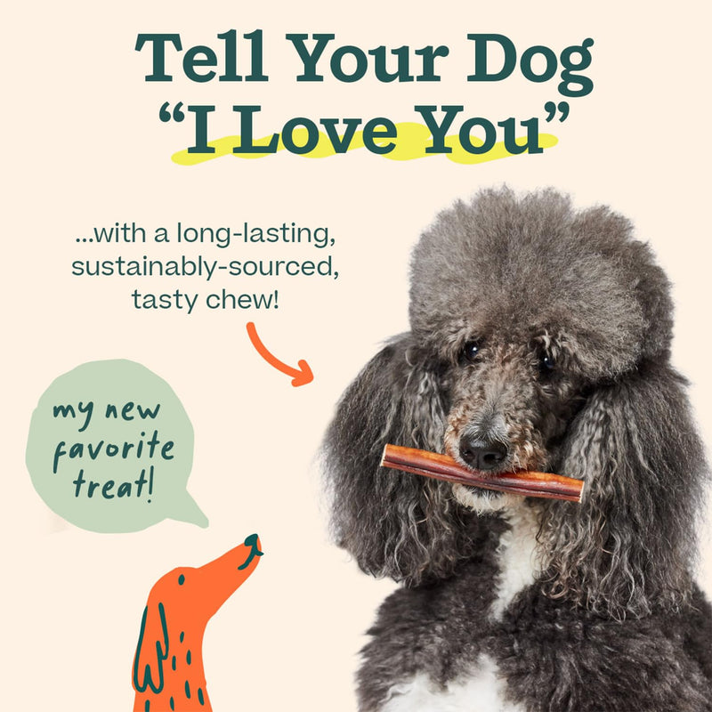 WOOF Bully Sticks - Chew Sticks for Dogs - Long-Lasting Dog Products - Made with Free-Range, Grass-Fed Beef - 6" Sticks - 10pk 6 Inch (Pack of 10) - PawsPlanet Australia