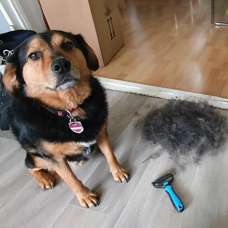 Dog brush undercoat Cat brush long hair Double-sided 9+17 dog brush Undercoat brush against matting and undercoat Grooming brush for pet care Against matting and undercoat - PawsPlanet Australia