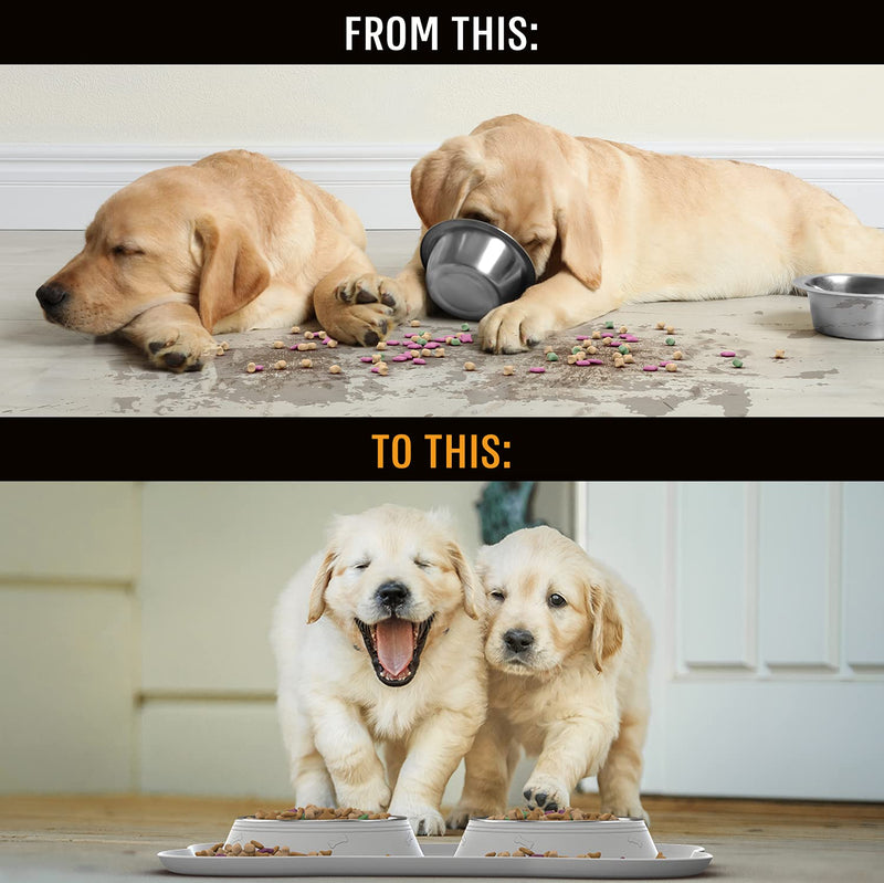 Active Pets Dog Bowl Set, Stainless Steel No Spill Mess-Proof Food & Water Dog Food Bowls with Skid Resistant Silicone Mat, Dog Bowls Small Size Dog, Medium, & Large, Pet Puppy Bowls & Dog Dishes 13½ oz each Cool Grey - PawsPlanet Australia