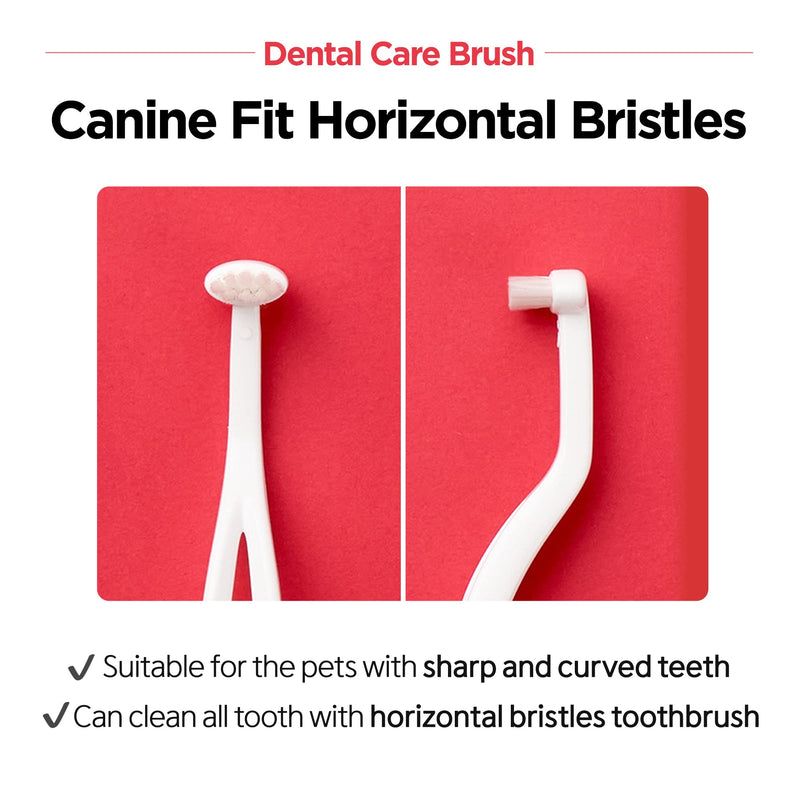 JAYU PET Dental Care Brush - Dog Cat Toothbrush | Dog Plaque, Tartar Control Toothbrush | Removing Bad Breath | Cat Teeth Brushing & Easy Cleaning | Pet Dental Hygiene with Soft Bristles (1) 1 - PawsPlanet Australia