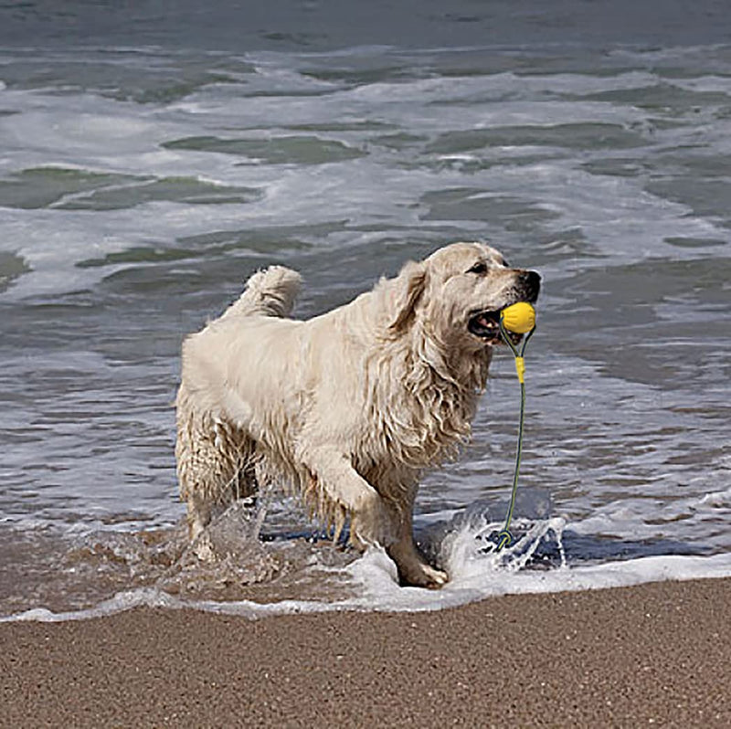 Ball with Rope Dog Toy,Fling Dura Foam Ball Dog Toy,Dog Water Float Toy Ball，Small Medium Large Dog Tug Toy (2.75inch(Small &Medium Dog)) 2.75inch(Small &Medium Dog) - PawsPlanet Australia