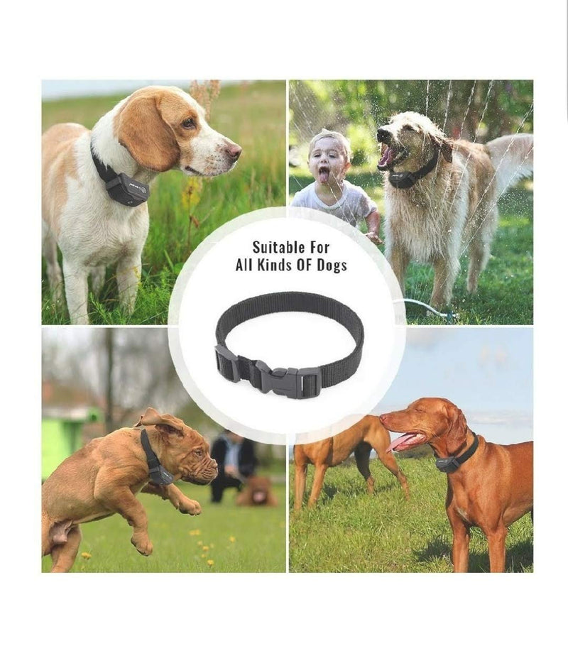 Bark Collar Extra Strap by Naturepets Replacement Strap Nylon Belt for All Vibrating and Static Shock Anti Bark Training Collars for Dogs (Replacement Collar Only) (1 Collar) 1 Collar - PawsPlanet Australia