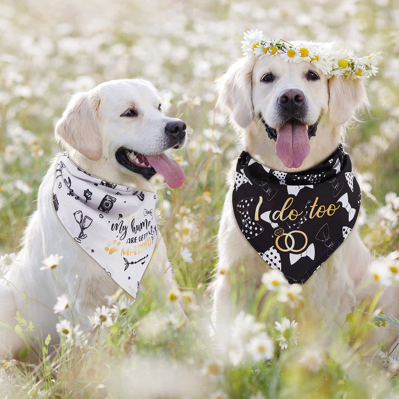 4 Pieces Wedding Dog Bandana My Humans are Getting Married Pet Bandana She Said Yes Dog Scarf Dog Engagement Announcement Pet Wedding Photo Prop for Dogs and Cats - PawsPlanet Australia