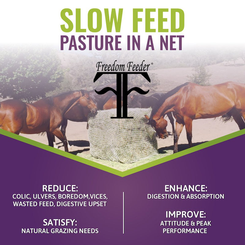 [Australia] - Freedom Feeder Mesh Net Full Day Slow Horse Feeder — Designed to Hold 30 lbs/4 Flakes of Hay and Feed Horse All Day — Reduces Horse Feeding Anxiety and Behavioral Issues 2" 
