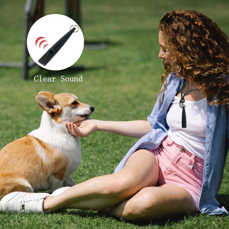 Jqiie Dog Whistle,2 Pcs Dog Training Whistle With Lanyard,Dog Whistles for Recall,Training - PawsPlanet Australia