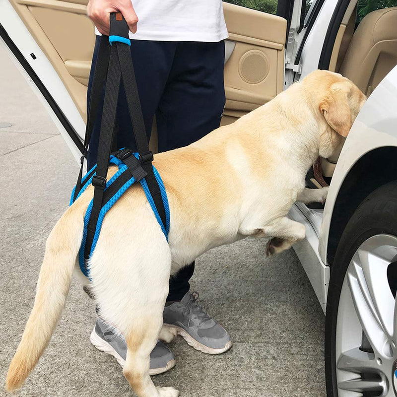 [Australia] - ROZKITCH Pet Dog Support Harness Rear Lifting Harness Veterinarian Approved for Old K9 Helps with Poor Stability, Joint Injuries Elderly and Arthritis ACL Rehabilitation Rehab L 