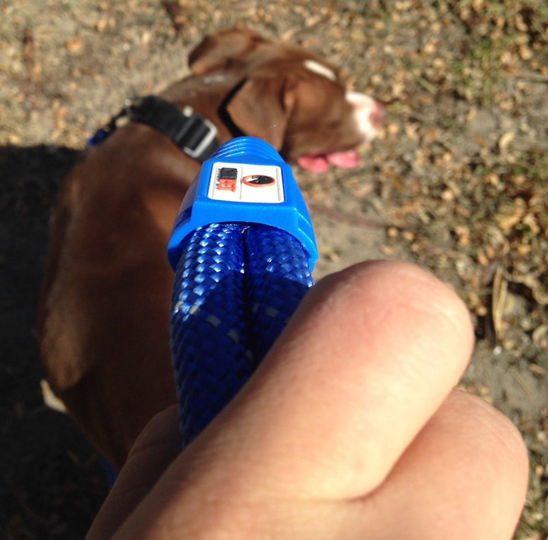 Comfortable & Shock Absorbing Blue 6ft Dog Rope Lead Leash Feature Soft Hand Loop Great for Walking Running Hiking Climbing & Training Lead with Safety Reflective Stitching For Medium & Large Sized Dog (6-feet, Blue) 6-feet - PawsPlanet Australia