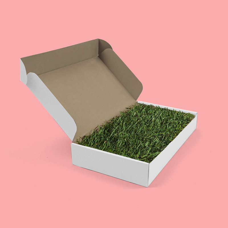 [Australia] - Fresh Grass Mat for Your Hamster, 12 x 9 