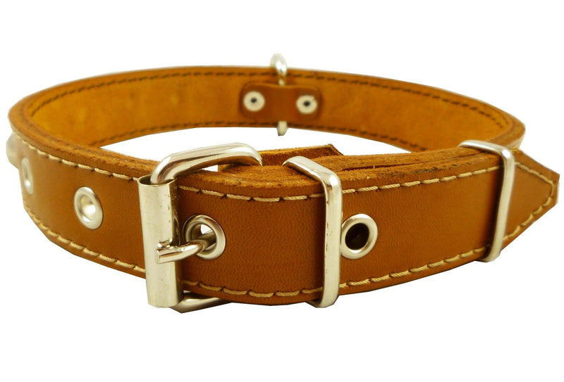 [Australia] - Genuine 1" Wide Thick Leather Studded Dog Collar. Fits 14"-17" Neck, Medium Breeds. 