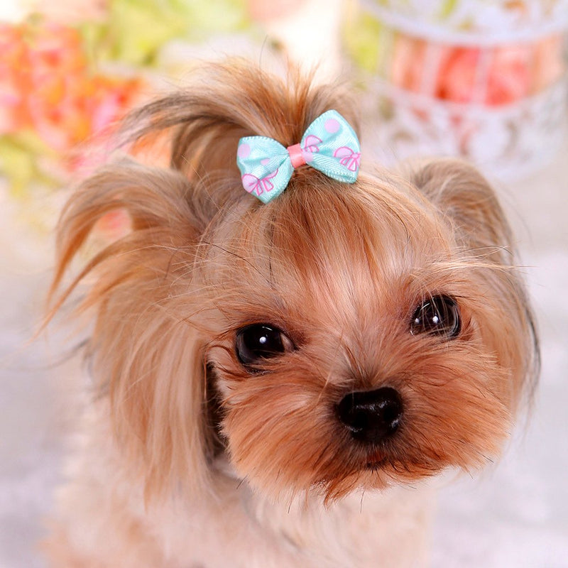 [Australia] - YOY Adorable Grosgrain Ribbon Pet Dog Hair Bows with Elastic Rubber Bands - Doggy Kitty Topknot Grooming Accessories Set for Long Hair Puppy Cat 50 pcs Various Bows 