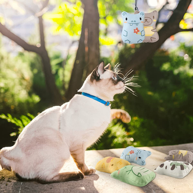 piece cat toy set, cat toy set made of cat cushion, valerian cushion toy with catnip, cat toy activity, sweet catnip toy for scratching, playing and chewing B - PawsPlanet Australia