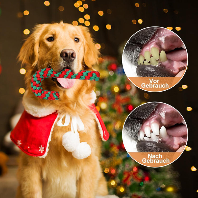 Christmas dog toy, Christmas candy cane rope, dog toy candy cane, dog toy rope, dog chew toy, Christmas gift dog toy for small dogs - PawsPlanet Australia