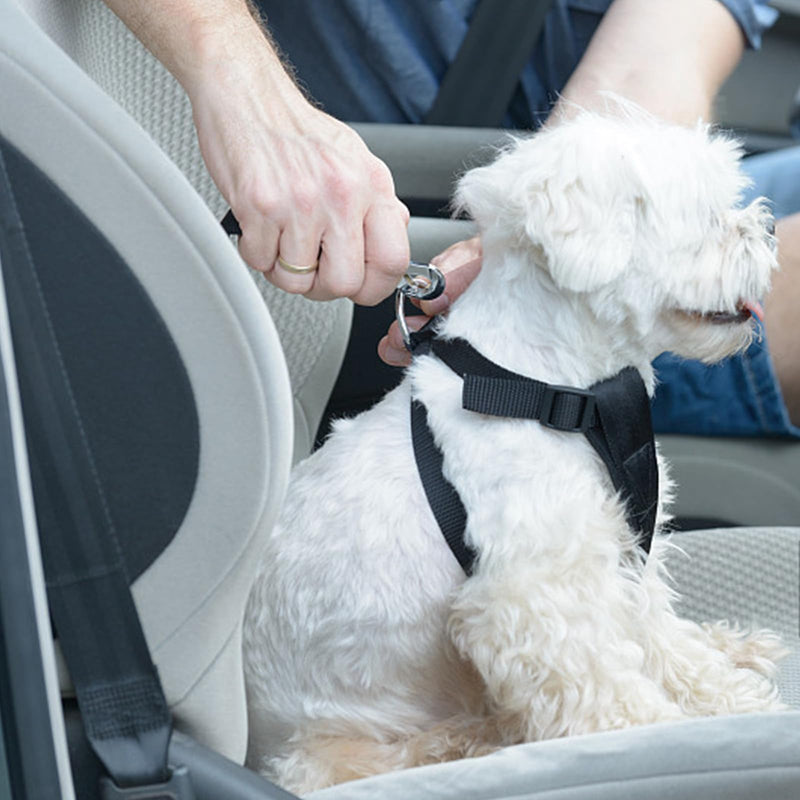 1 piece seat belt for dog car, dog belt for the car, dog seat belt for the car, dog harness car, car belt for dogs, dog belt for car back seat, dog belt for car back seat, for dogs, cats, nylon material - PawsPlanet Australia