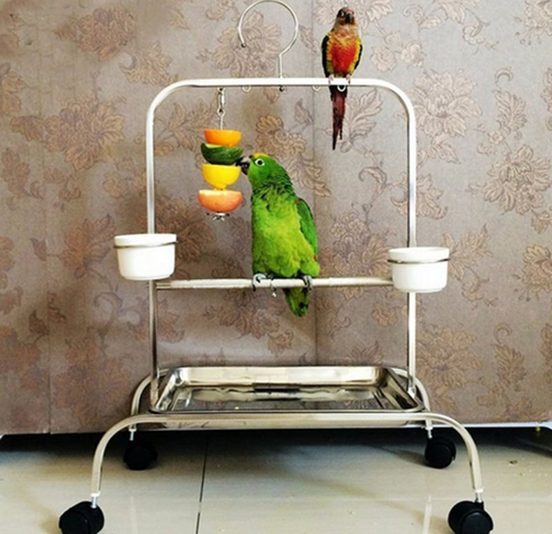 [Australia] - mkki Stainless Steel Small Parrot Toy Meat Kabob Food Holder Stick Fruit Skewer Bird Treating Tool Durable Bird's cage Accessories L 