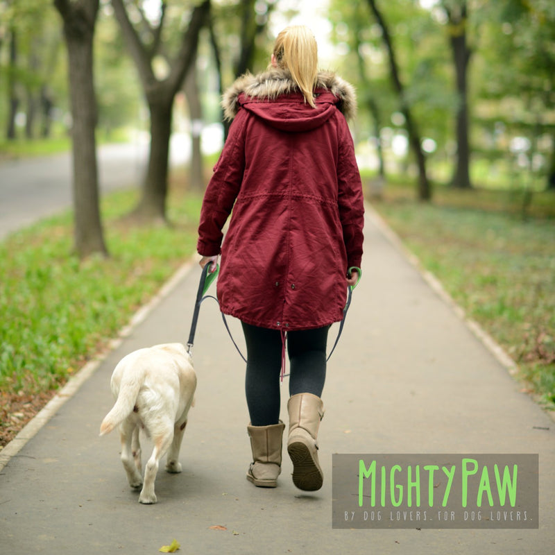 [Australia] - Mighty Paw HandleX2, Dual Handle Dog Leash - 6 Feet, Premium Quality Reflective Leash with 2 Handles. Grey/Green 