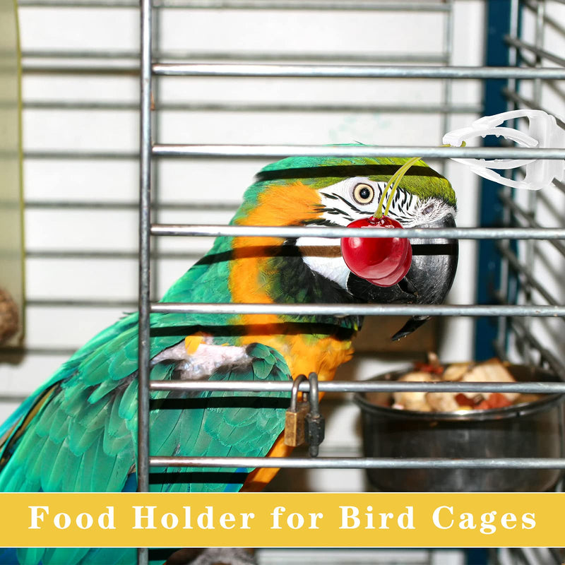 6 Pieces Bird Cage Food Holder Parrot Fruit Vegetable Clips Bird Cage Feeder Clip for Budgie Parakeet Cockatoo Macaw Cockatiel Conure - PawsPlanet Australia