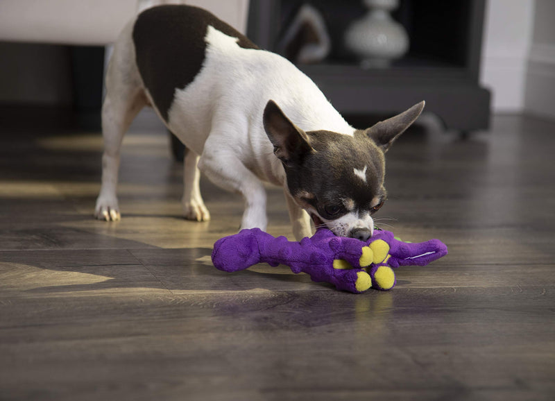 [Australia] - goDog Just For Me Bruto with Chew Guard Technology Plush Dog Toy, Purple 