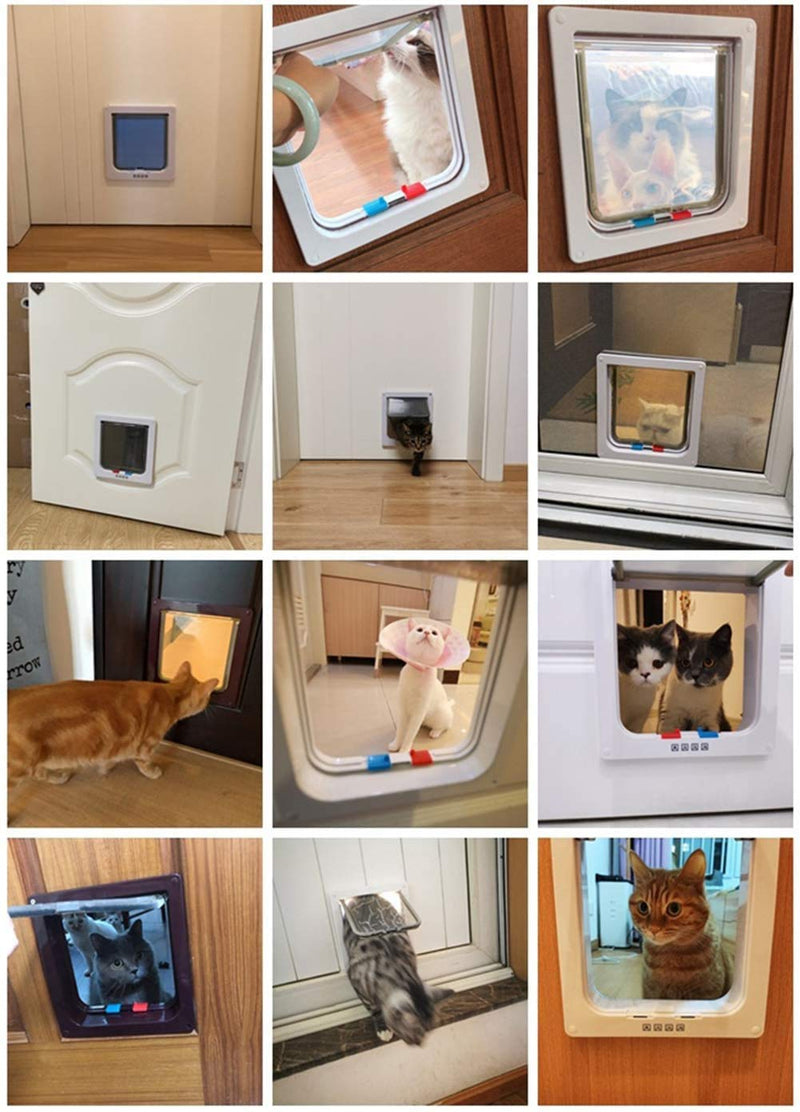 TODARRUN Large Cat Door 23.5 * 25 * 5.5cm,4 Way Locking Cat Flap Door,Silent Dog Door Pet Flap Easy to Install,Suitable for Cats,Small Dogs - (L) White - PawsPlanet Australia