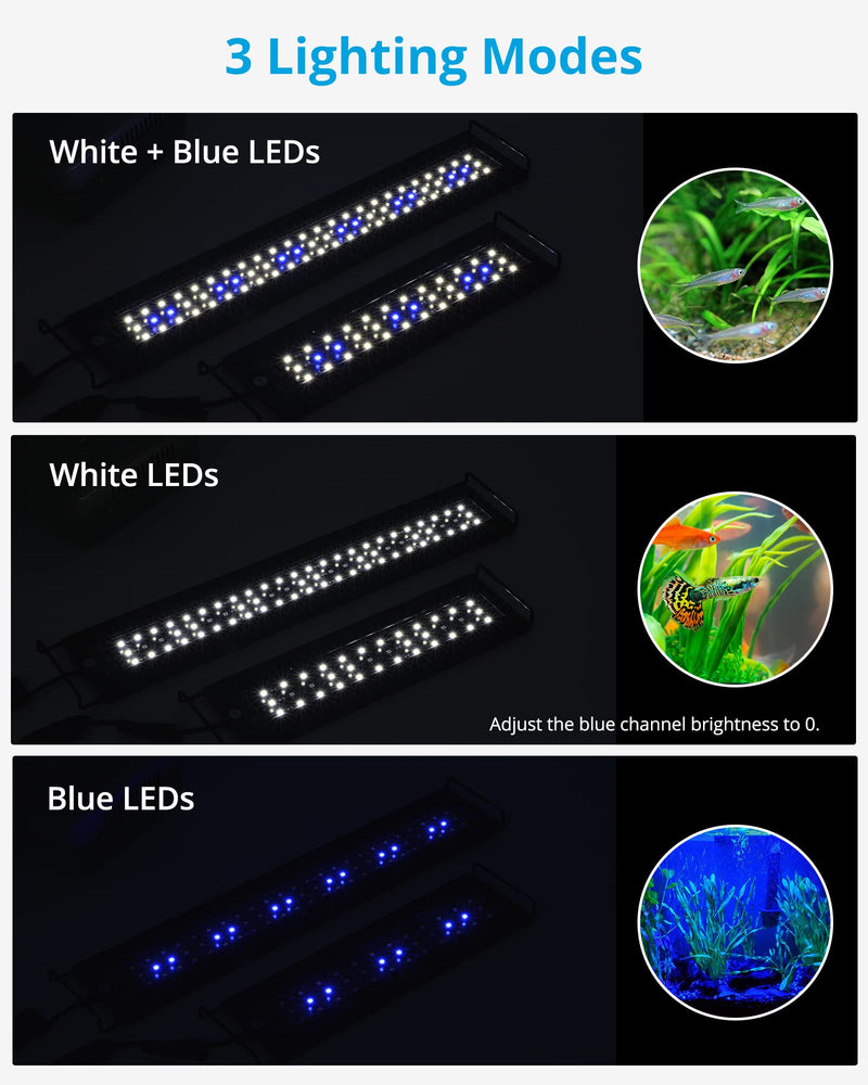 NICREW AquaLux White and Blue LED Aquarium Light, Intensity Adjustable Freshwater Fish Tank Light with 8/10/12 Hours Timer, Sunrise and Sunset Function, 12-18 Inch, 6 Watts 12 - 18 in - PawsPlanet Australia