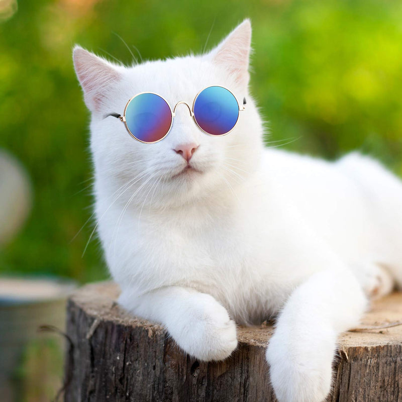 6 Pieces Funny Cute Cat Small Dog Sunglasses Classic Retro Circular Metal Prince Sunglasses Eye-wear Photos Props Accessories Cosplay Glasses (Black and Mix Reflective Color) Black and Mix Reflective Color - PawsPlanet Australia