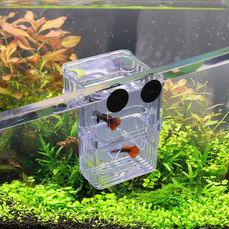 [Australia] - WEAVERBIRD Fish Breeder Box Acrylic Aquarium Isolation Hatchery Feeding Boxes White for Small Baby Fishes Shrimp Clown Fish 