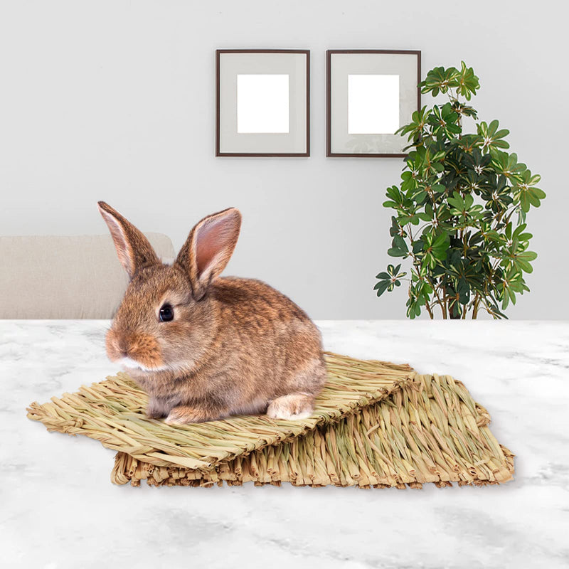 Rabbit Natural Grass Bed, Guinea Pig Woven Hay Nest Rabbit Toys Boredom Breaker Bunny Chew Toys with 2 Small Animals Play Balls and 2 Grass Mat for Guinea Pig Hamster Chinchilla Rabbit Degu (L) L - PawsPlanet Australia