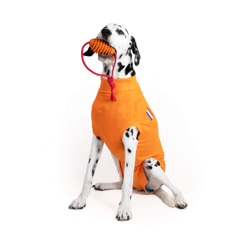 MPS Medical Pet Shirt Dog, Surgery Recovery Suit, Orange, XXXX-Small XXXXS - PawsPlanet Australia