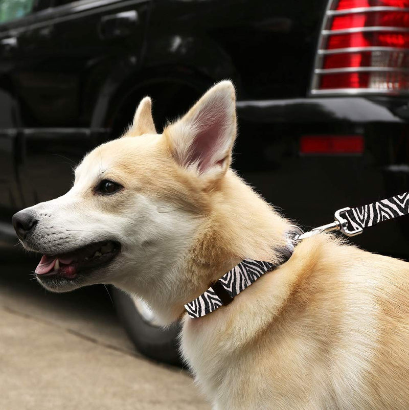 [Australia] - Cute Animal Print Dog Collar and Leash - Waterproof Colorful Animal Print Dog Collar and Dog Leash, Wide Range of Sizes for Every Dog 3/4" COLLAR MED Leopard 