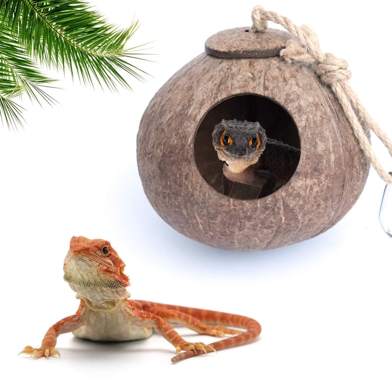 Gecko Coconut Husk Hut, Bird Hut Nesting House Hideouts Hanging Home, Treat & Food Dispenser, Durable Cave Habitat with Hanging Loop for Crested Gecko, Reptiles, Amphibians and Small Animals - PawsPlanet Australia