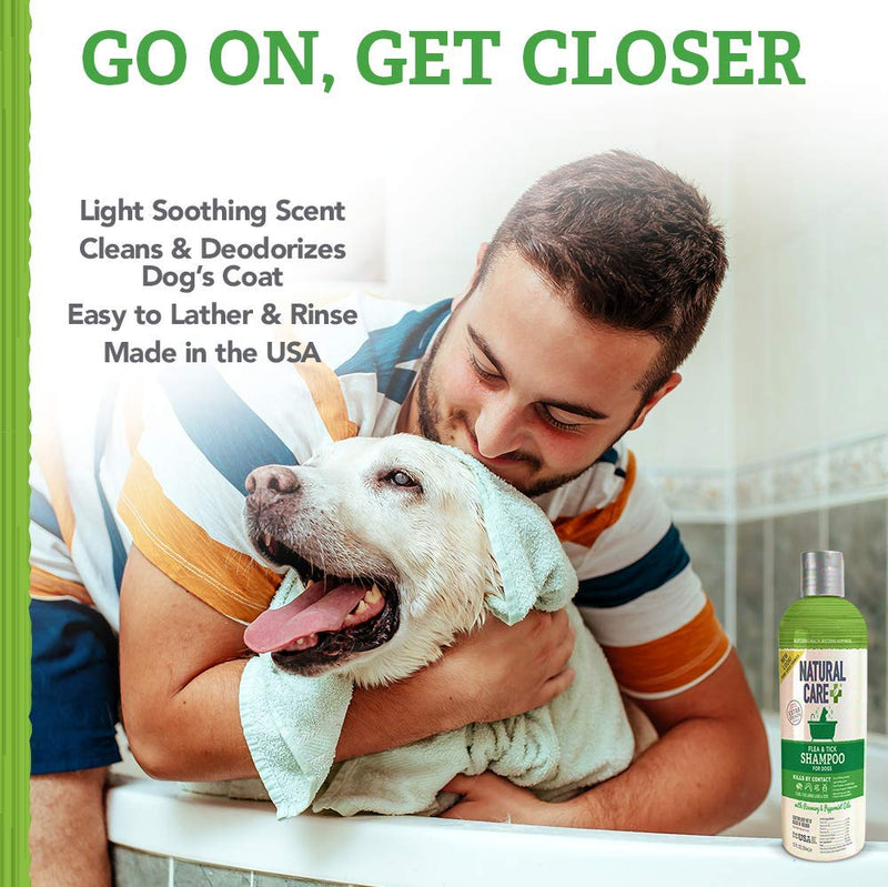 [Australia] - Natural Care Flea and Tick Dog Shampoo | Flea Treatment for Dogs | Flea Killer with Certified Natural Oils | 12 Ounces 