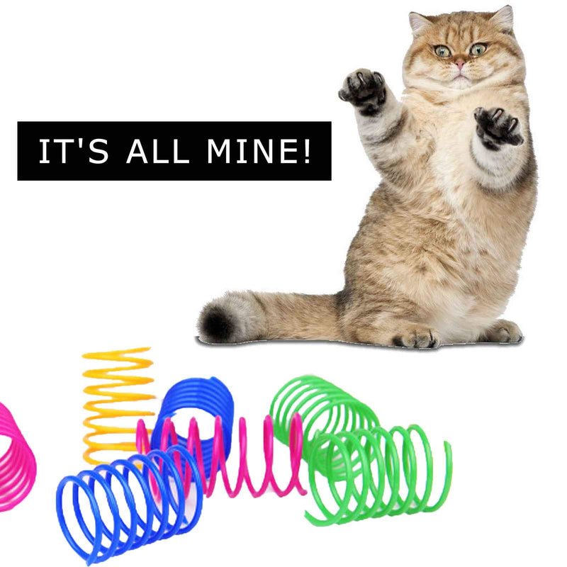 Cat Springs Toy Coil Indoor Soft Colourful Spiral Plastic Wide Pet Jouet Pour Chats - PawsPlanet Australia